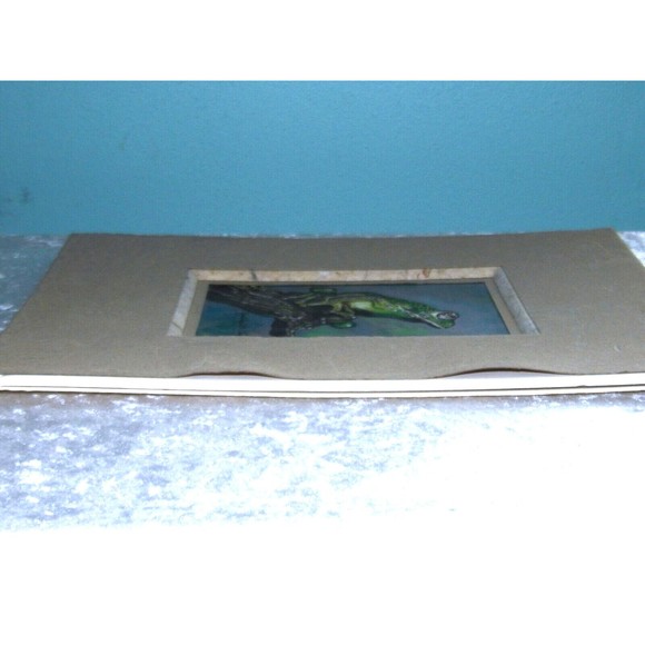 Vintage The Glass Frog Print by Artist Judith Smith Wilson - Picture 11 of 16